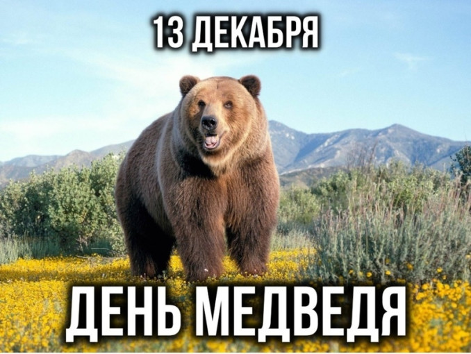 День медведя в ясельной группе День медведя в ясельной группе.